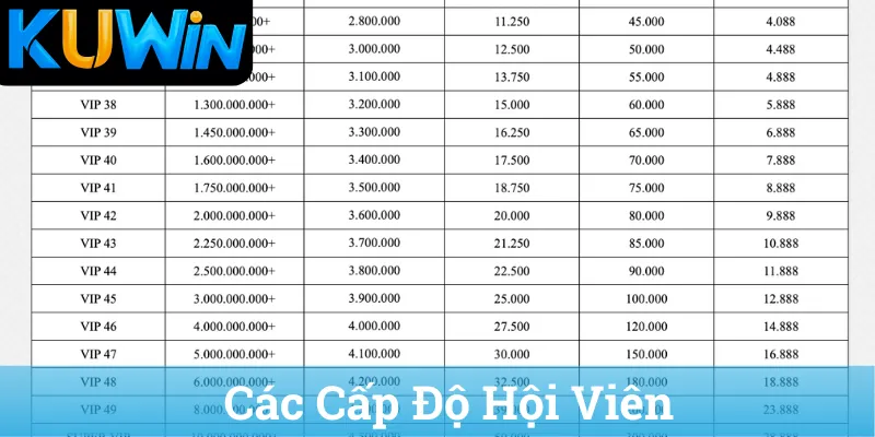 Cac Cap Do Hoi Vien Các Cấp Độ Hội Viên
