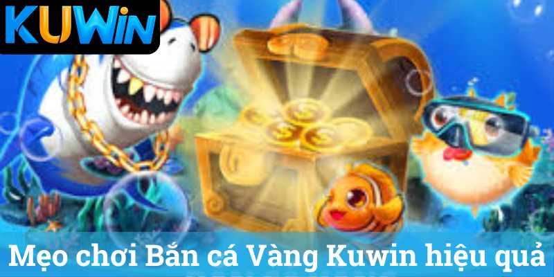 Meo choi Ban ca Vang Kuwin hieu qua Mẹo chơi Bắn cá Vàng Kuwin hiệu quả
