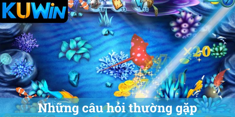 Nhung cau hoi thuong gap Những câu hỏi thường gặp
